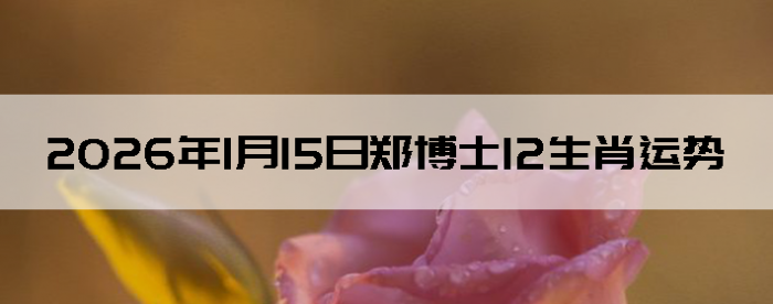 2026��1��15��֣��ʿ12��Ф����