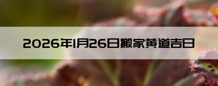 2026��1��26�������ʺϰ����