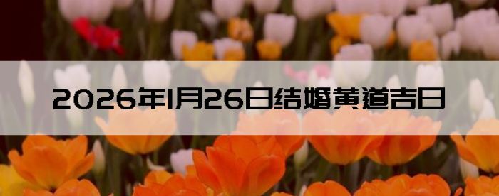 2026��1��26����������ô��