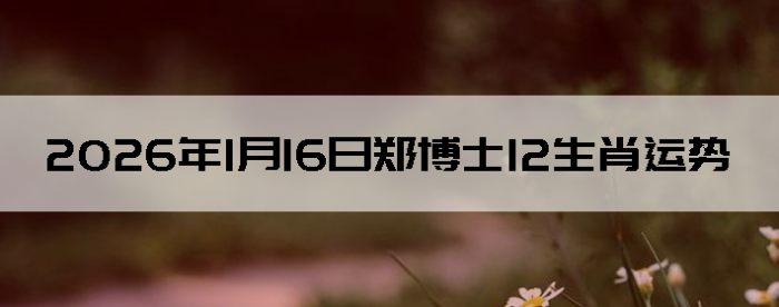 2026��1��16��֣��ʿ12��Ф����