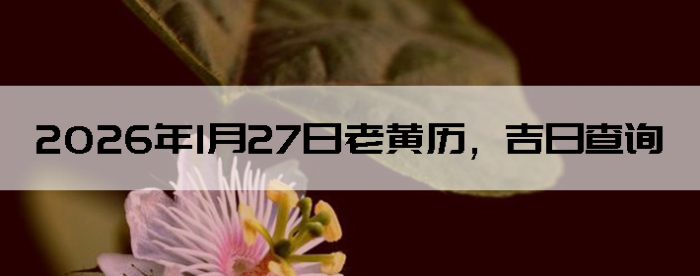 2026��1��27���ϻ��������ղ�ѯ