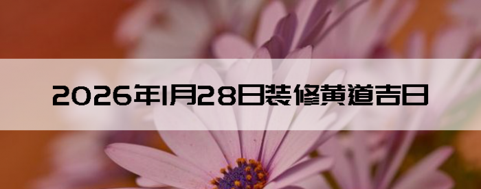 2026��1��28�������ʺ�װ����