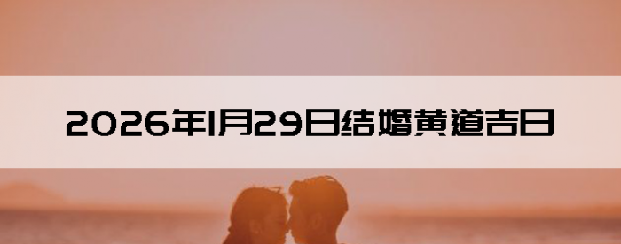 2026��1��29�ս�����������