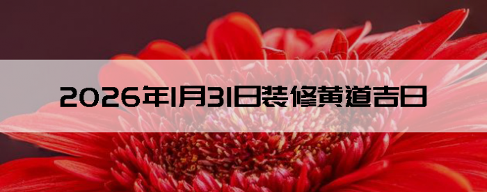 2026��1��31�������ʺ�װ����