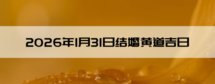 2026��1��31����������ô��