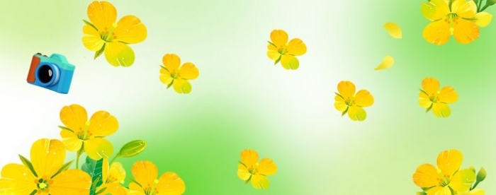 ��������������ҵĹ�����ʲô����?