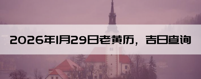 2026��1��29���ϻ��������ղ�ѯ