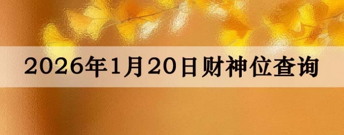 2026��1��20�ղ���λ��ѯָ��