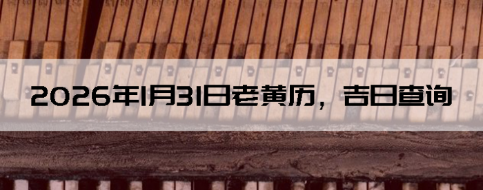 2026��1��31���ϻ��������ղ�ѯ