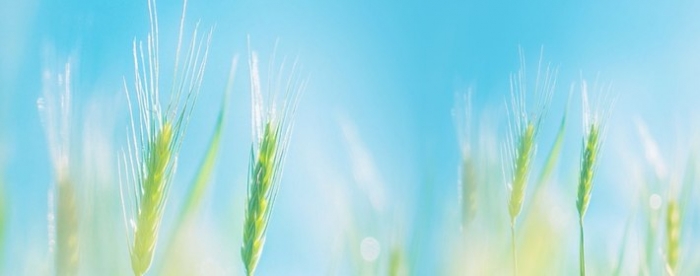 �������������Ե�������ǻ�����������