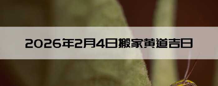 2026��2��4�������ʺϰ����