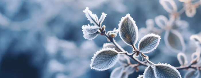 �󺮽���ǧ��𷸣����Ĺ�����