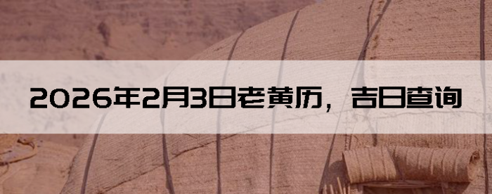 2026��2��3���ϻ��������ղ�ѯ