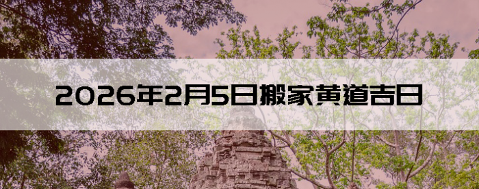 2026��2��5�հ�ҵ���������