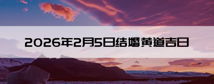 2026��2��5�ս������Ӳ�ѯ