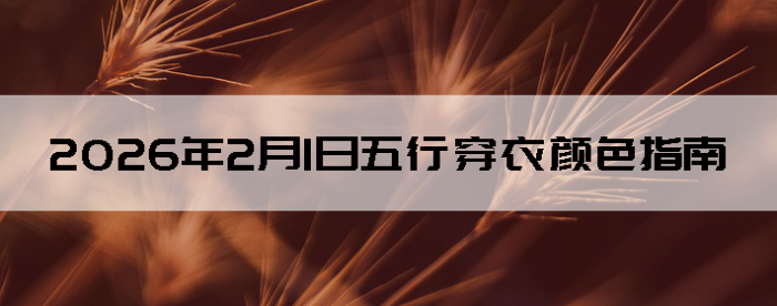 2026��2��1�����д�����ɫָ��