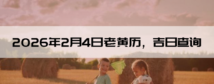 2026��2��4���ϻ��������ղ�ѯ