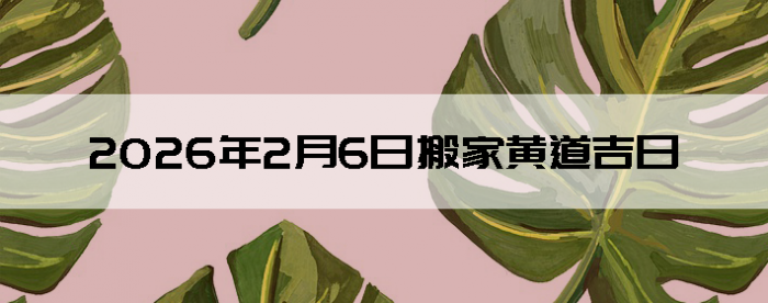 2026��2��6�հ�Һ����Ӳ�ѯ