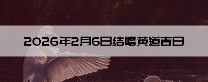 2026��2��6�������ʺϽ����