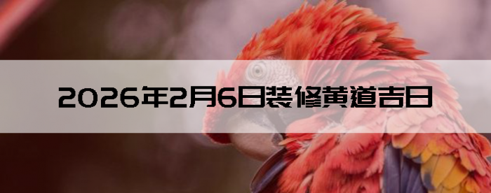 2026��2��6������װ����ô��