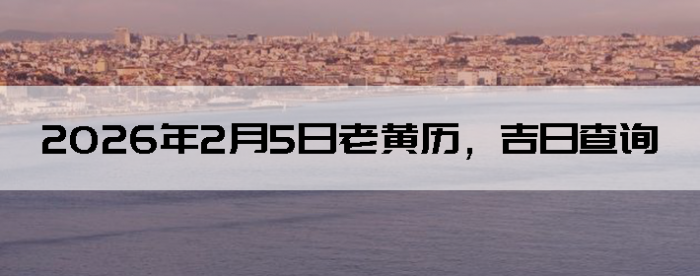 2026��2��5���ϻ��������ղ�ѯ