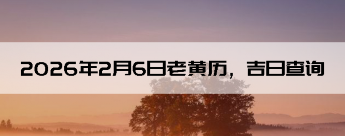 2026��2��6���ϻ��������ղ�ѯ