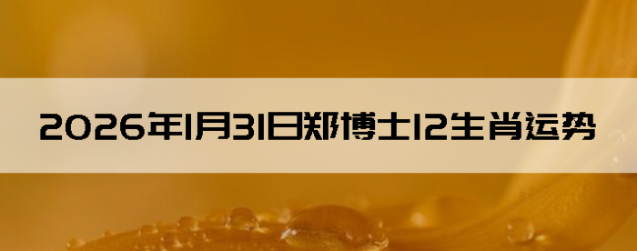 2026��1��31��֣��ʿ12��Ф����