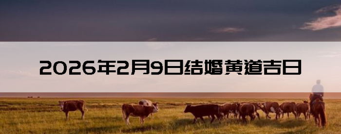 2026��2��9����������ô��