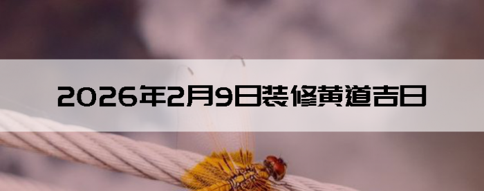 2026��2��9�������ʺ�װ����