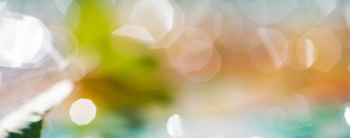 ���������֪ʶ��������������