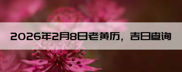 2026��2��8���ϻ��������ղ�ѯ