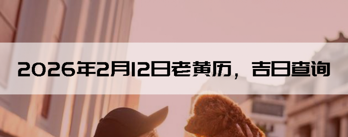 2026��2��12���ϻ��������ղ�ѯ