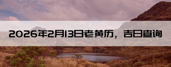 2026��2��13���ϻ��������ղ�ѯ