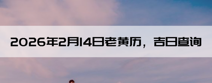 2026��2��14���ϻ��������ղ�ѯ