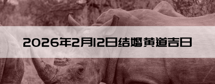 2026��2��12�ս�鼪��������