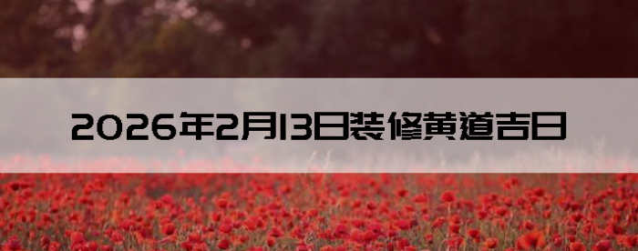 2026��2��13�������ʺ�װ����