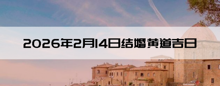 2026��2��14�ս������Ӳ�ѯ