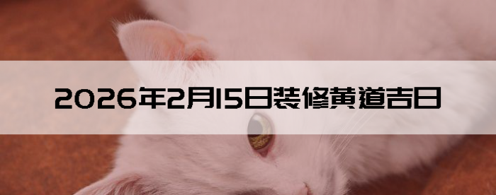 2026��2��15�������ʺ�װ����
