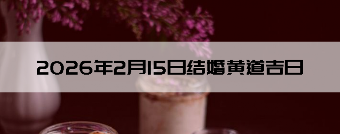 2026��2��15�������ʺϽ����