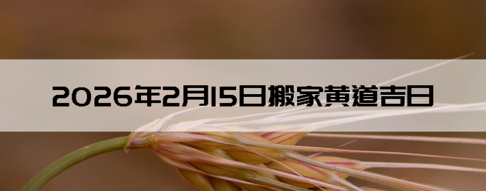 2026��2��15����������ô��