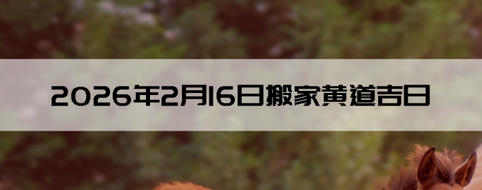 2026��2��16�������ʺϰ����