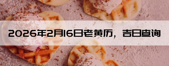 2026��2��16���ϻ��������ղ�ѯ