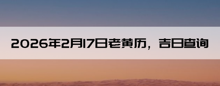 2026��2��17���ϻ��������ղ�ѯ