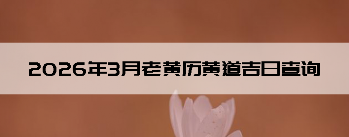 2026��3���ϻ����Ƶ����ղ�ѯ