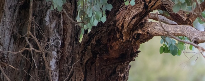 ʲô�ǹ�ӡ���֣�������;����