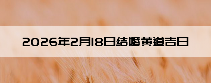 2026��2��18����������ô��