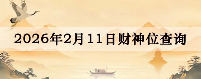 2026��2��11�ղ���λ��ѯ�ٲ�