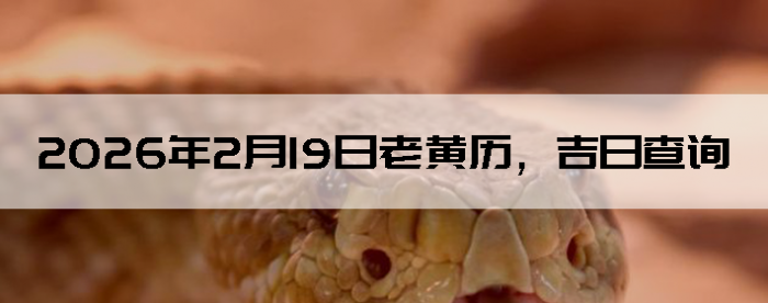 2026��2��19���ϻ��������ղ�ѯ