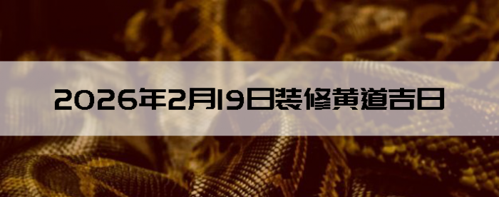 2026��2��19�������ʺ�װ����