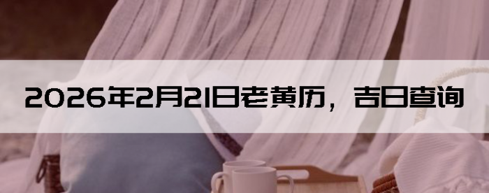 2026��2��21���ϻ��������ղ�ѯ